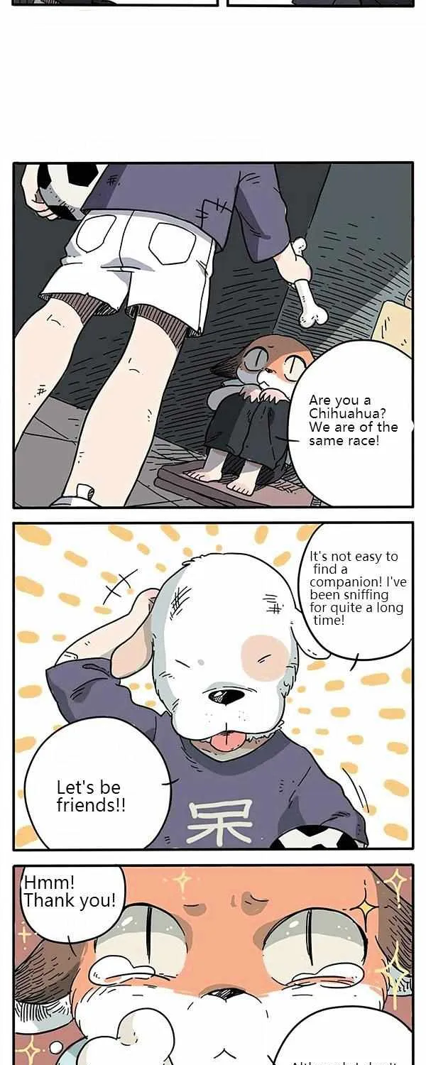 Read The Loser-fox orange chapter 1 image 4 on Lezhin