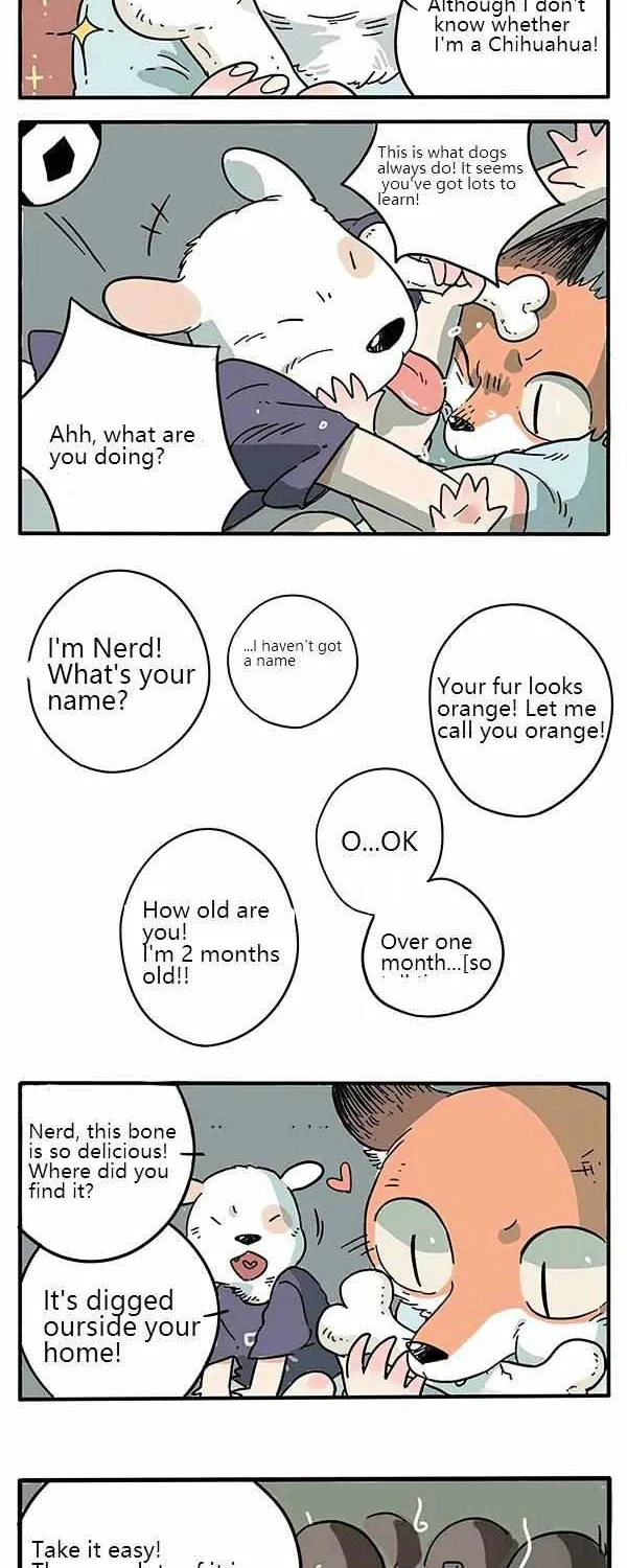 Read The Loser-fox orange chapter 1 image 5 on Lezhin