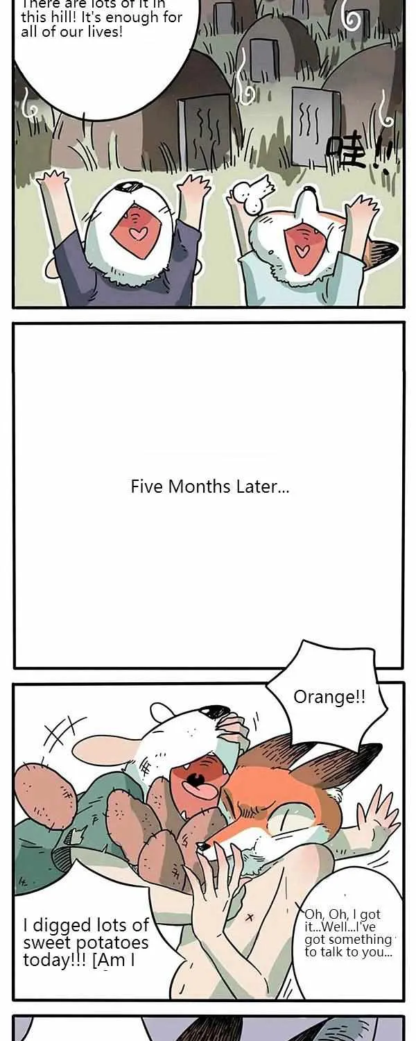 Read The Loser-fox orange chapter 1 image 6 on Lezhin
