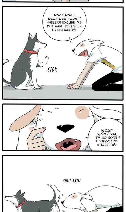 Read The Loser-fox orange chapter 10 image 1 on Lezhin