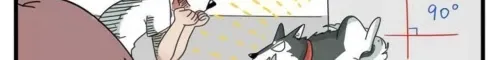 Read The Loser-fox orange chapter 10 image 11 on Lezhin