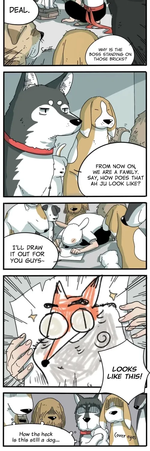 Read The Loser-fox orange chapter 10 image 14 on Lezhin