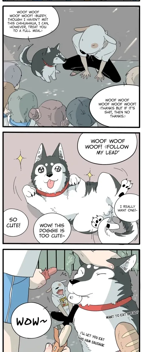 Read The Loser-fox orange chapter 10 image 3 on Lezhin