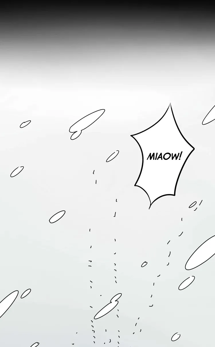 Read The Loser-fox orange chapter 13.5 image 17 on Lezhin