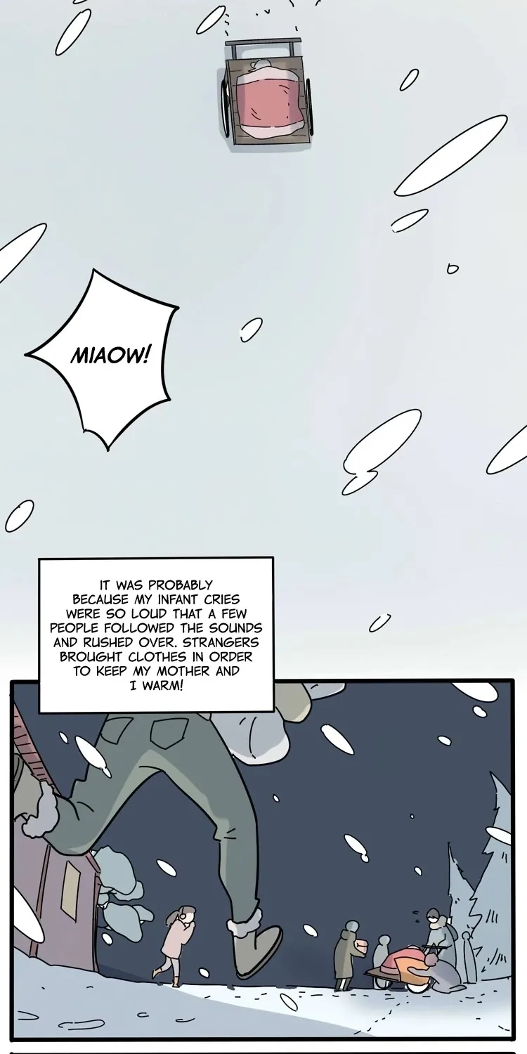 Read The Loser-fox orange chapter 13.5 image 18 on Lezhin