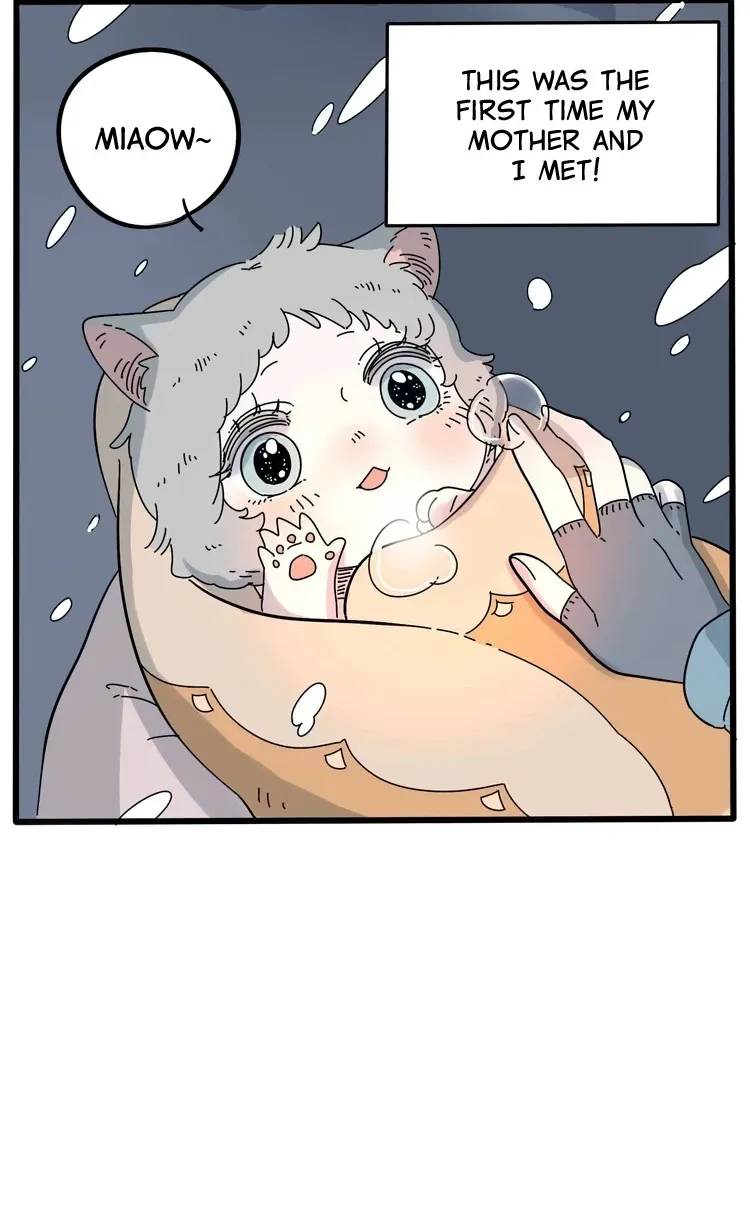 Read The Loser-fox orange chapter 13.5 image 19 on Lezhin