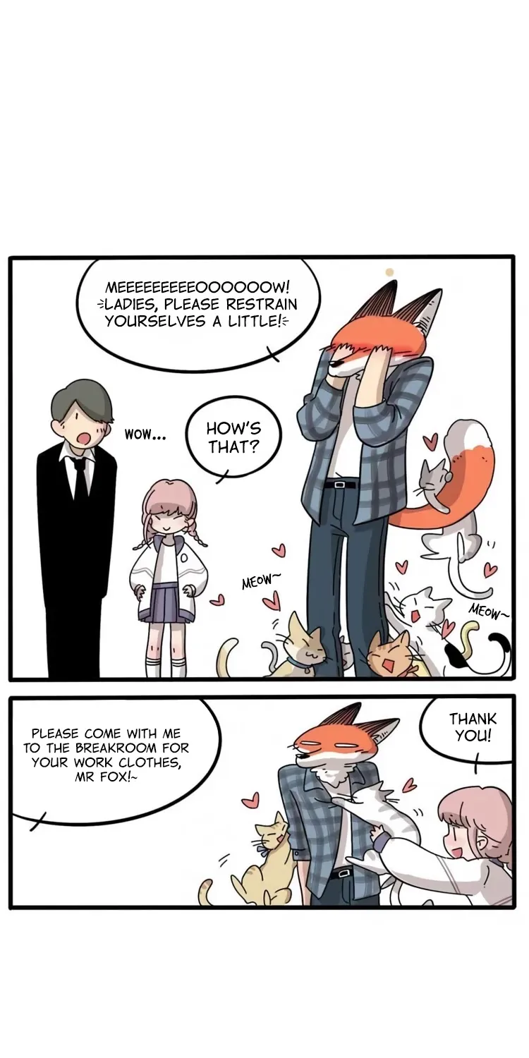Read The Loser-fox orange chapter 13 image 4 on Lezhin