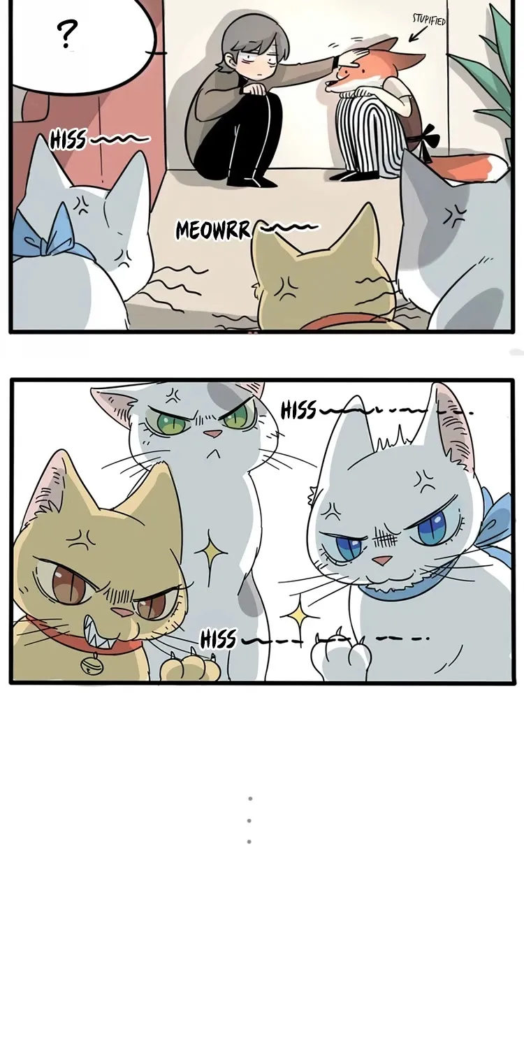 Read The Loser-fox orange chapter 14 image 10 on Lezhin
