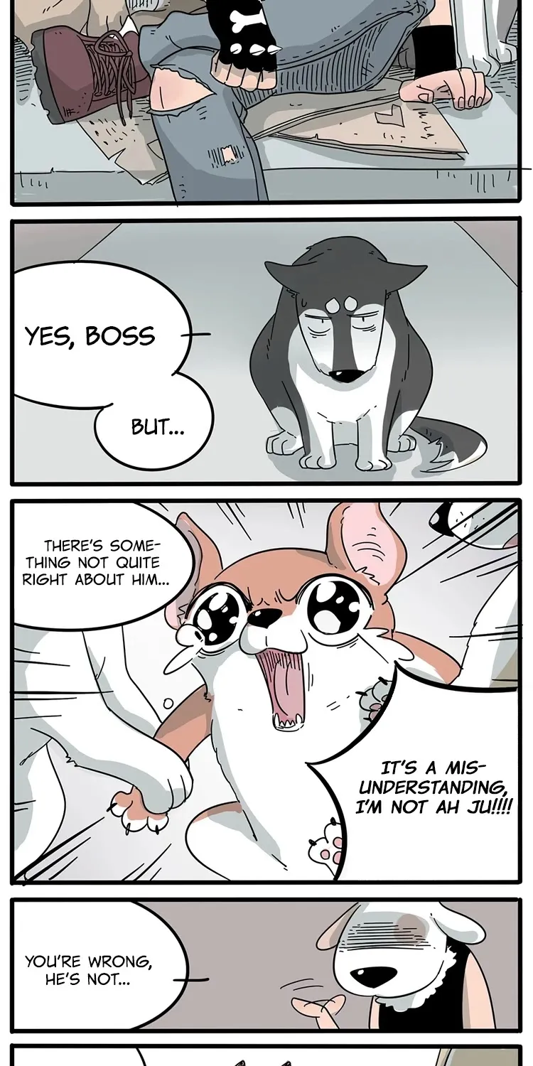 Read The Loser-fox orange chapter 15 image 2 on Lezhin