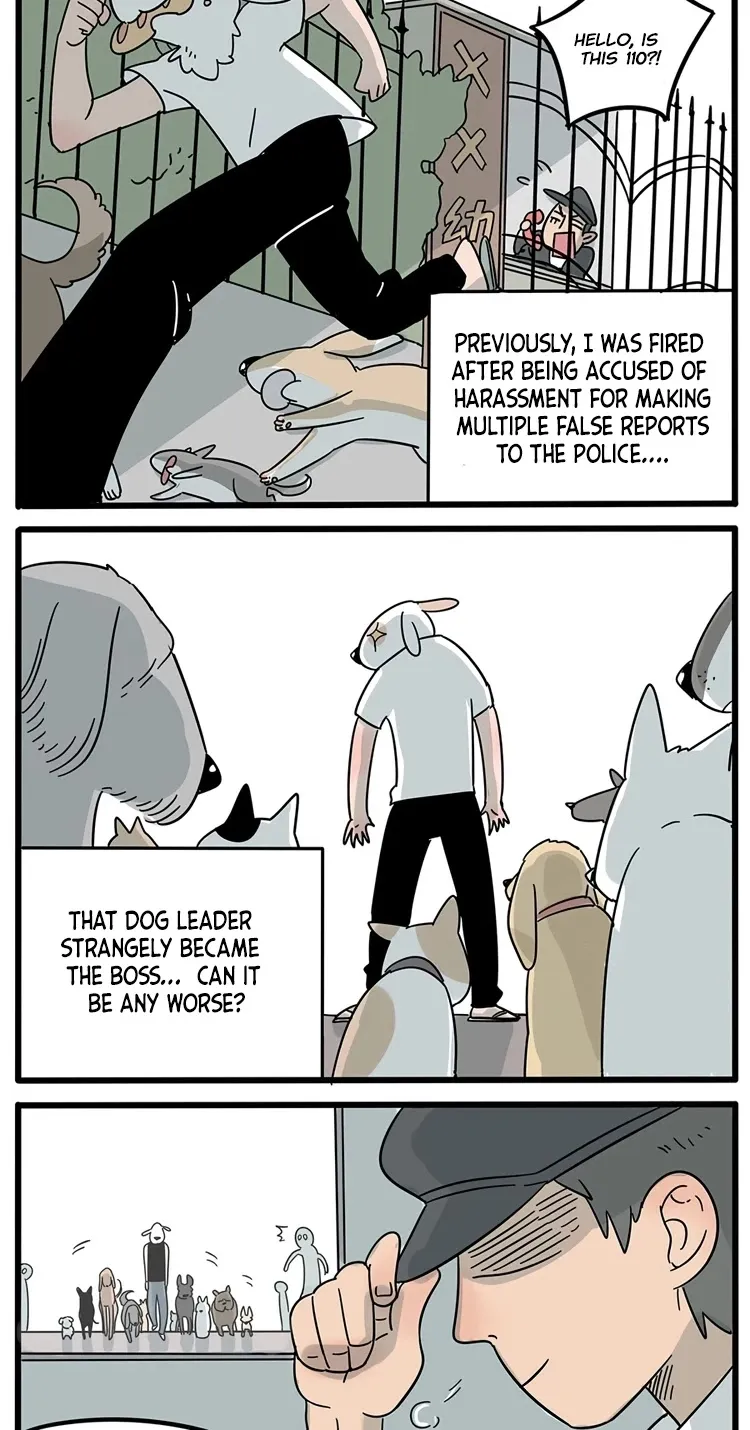 Read The Loser-fox orange chapter 15 image 7 on Lezhin