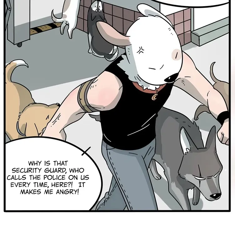 Read The Loser-fox orange chapter 15 image 9 on Lezhin