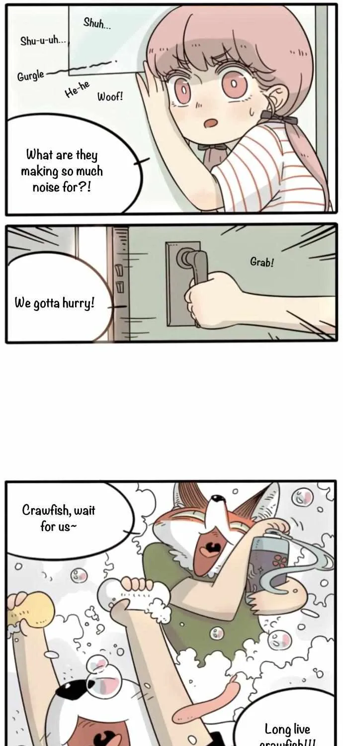 Read The Loser-fox orange chapter 17 image 21 on Lezhin