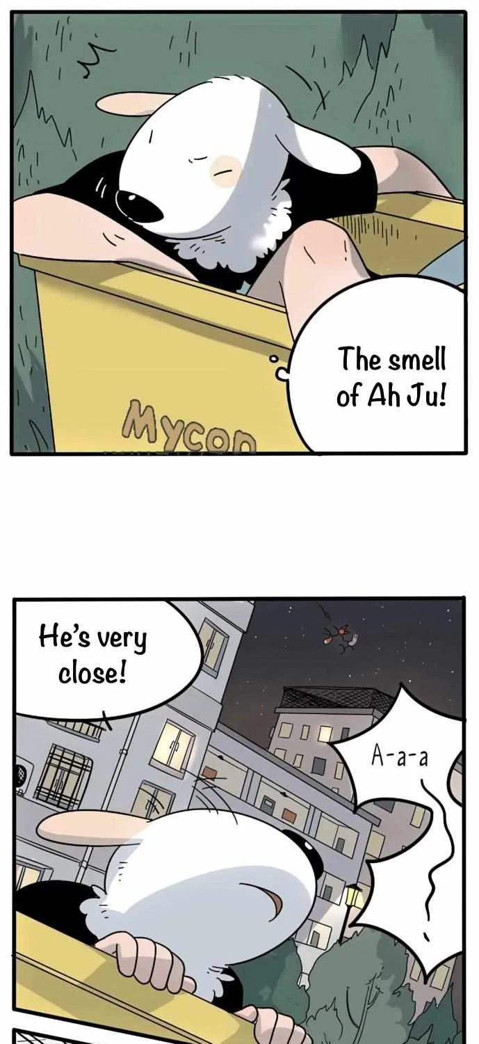 Read The Loser-fox orange chapter 19 image 15 on Lezhin