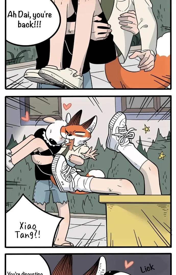 Read The Loser-fox orange chapter 19 image 18 on Lezhin