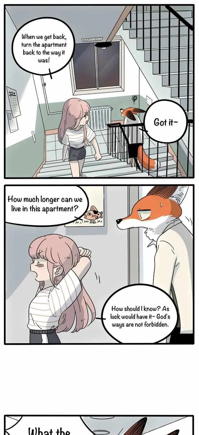 Read The Loser-fox orange chapter 19 image 5 on Lezhin