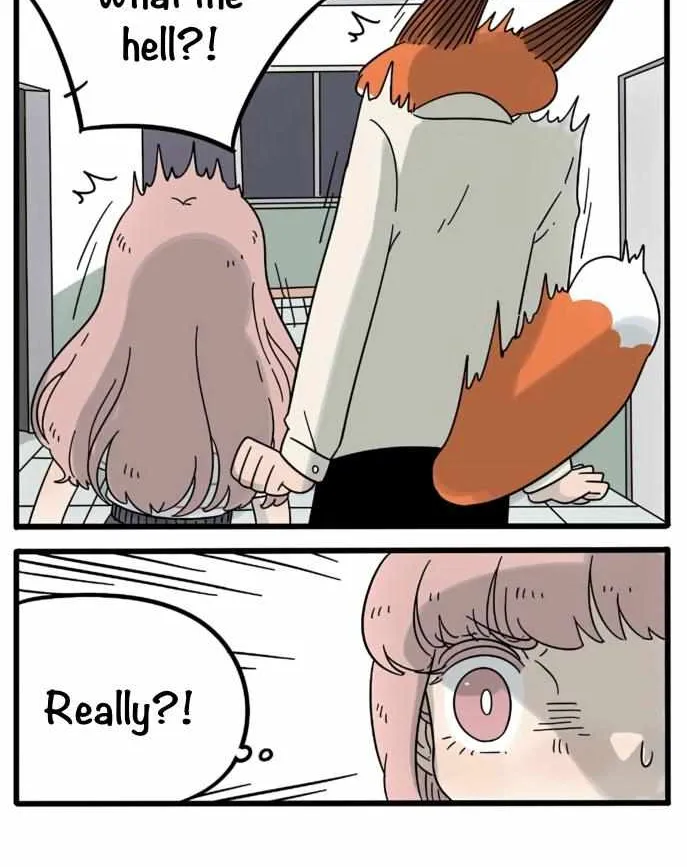 Read The Loser-fox orange chapter 19 image 6 on Lezhin