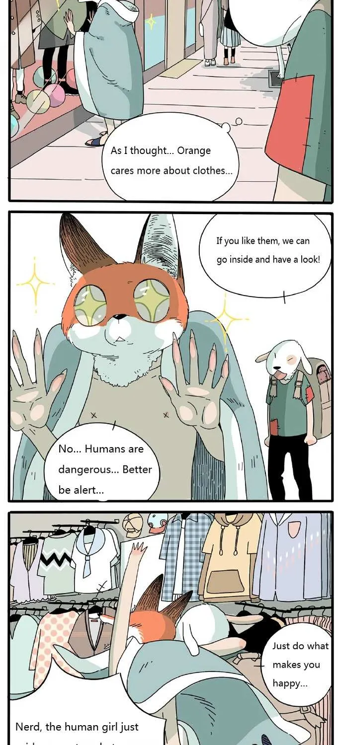 Read The Loser-fox orange chapter 2 image 1 on Lezhin