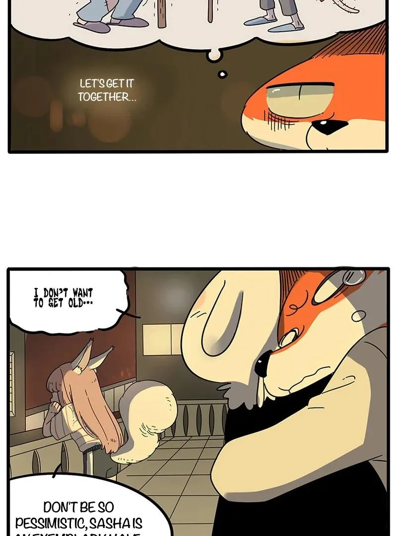 Read The Loser-fox orange chapter 20 image 11 on Lezhin