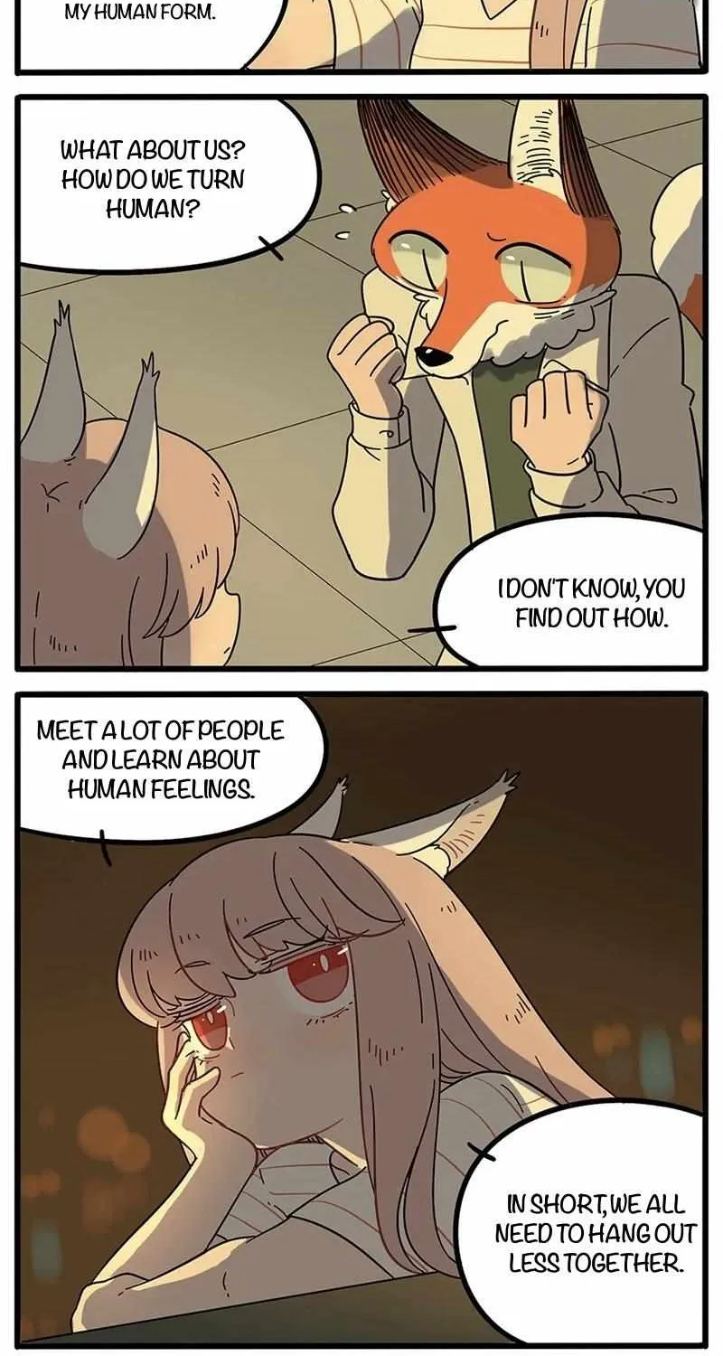 Read The Loser-fox orange chapter 20 image 17 on Lezhin