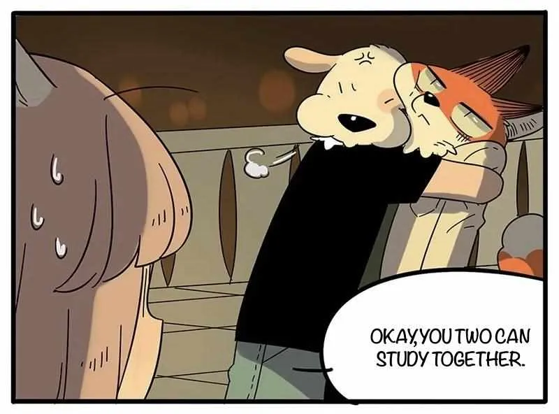 Read The Loser-fox orange chapter 20 image 18 on Lezhin