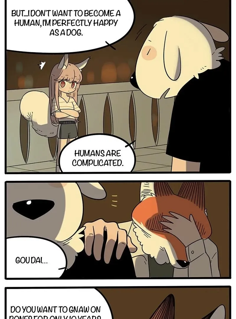 Read The Loser-fox orange chapter 20 image 19 on Lezhin