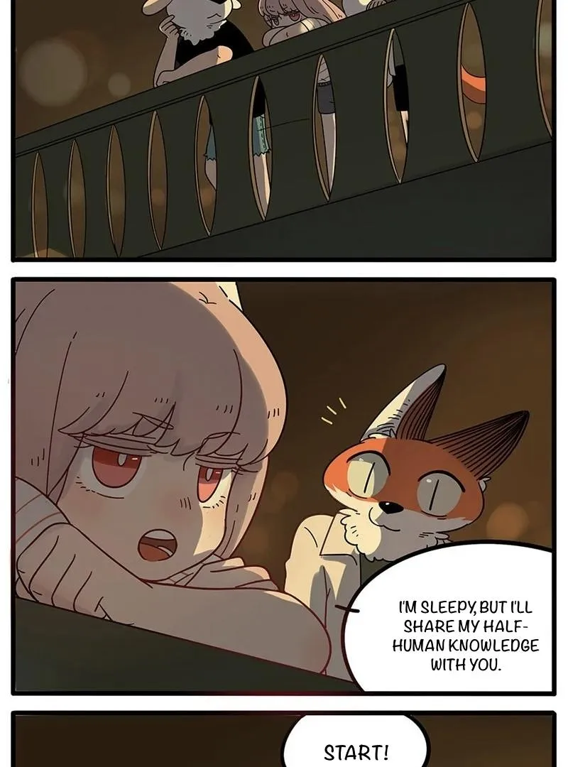 Read The Loser-fox orange chapter 20 image 3 on Lezhin