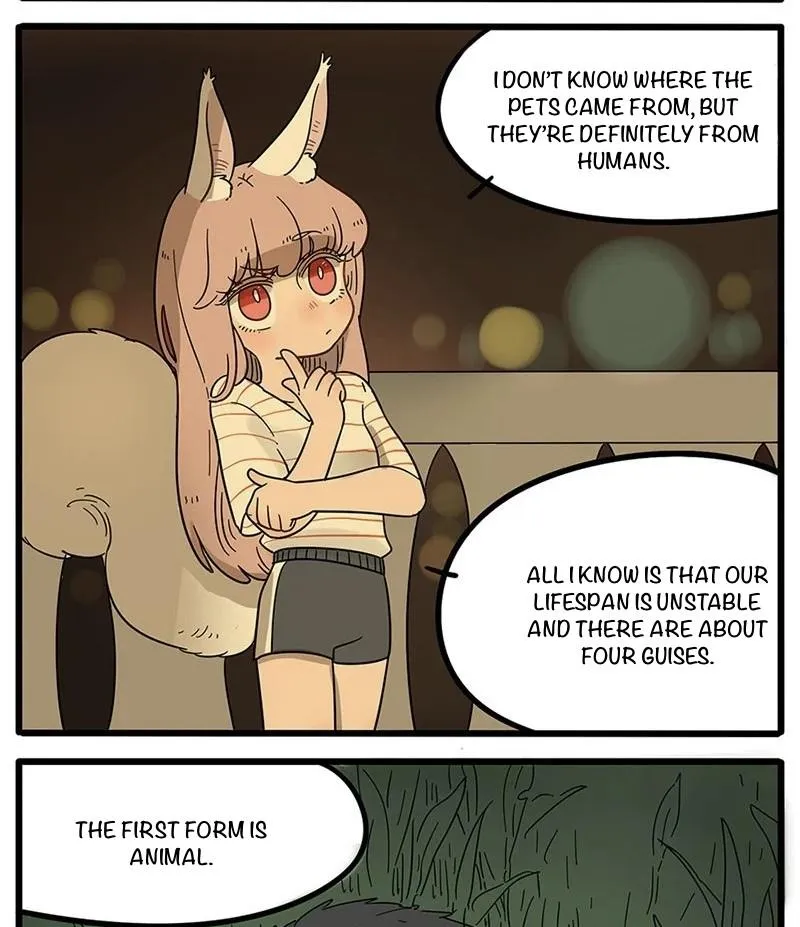 Read The Loser-fox orange chapter 20 image 5 on Lezhin