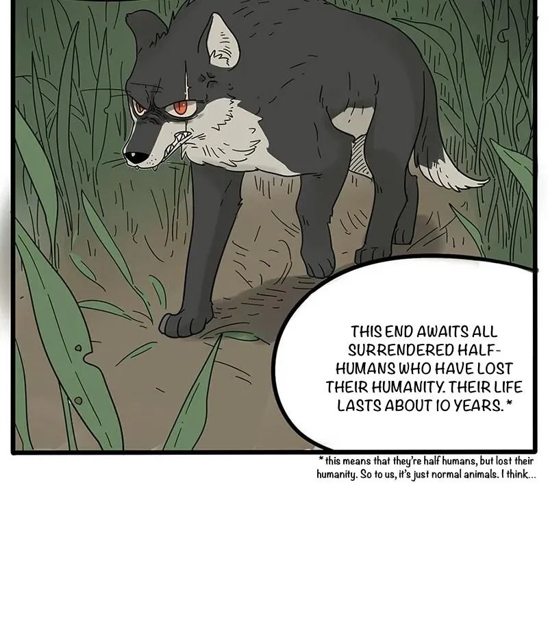 Read The Loser-fox orange chapter 20 image 6 on Lezhin