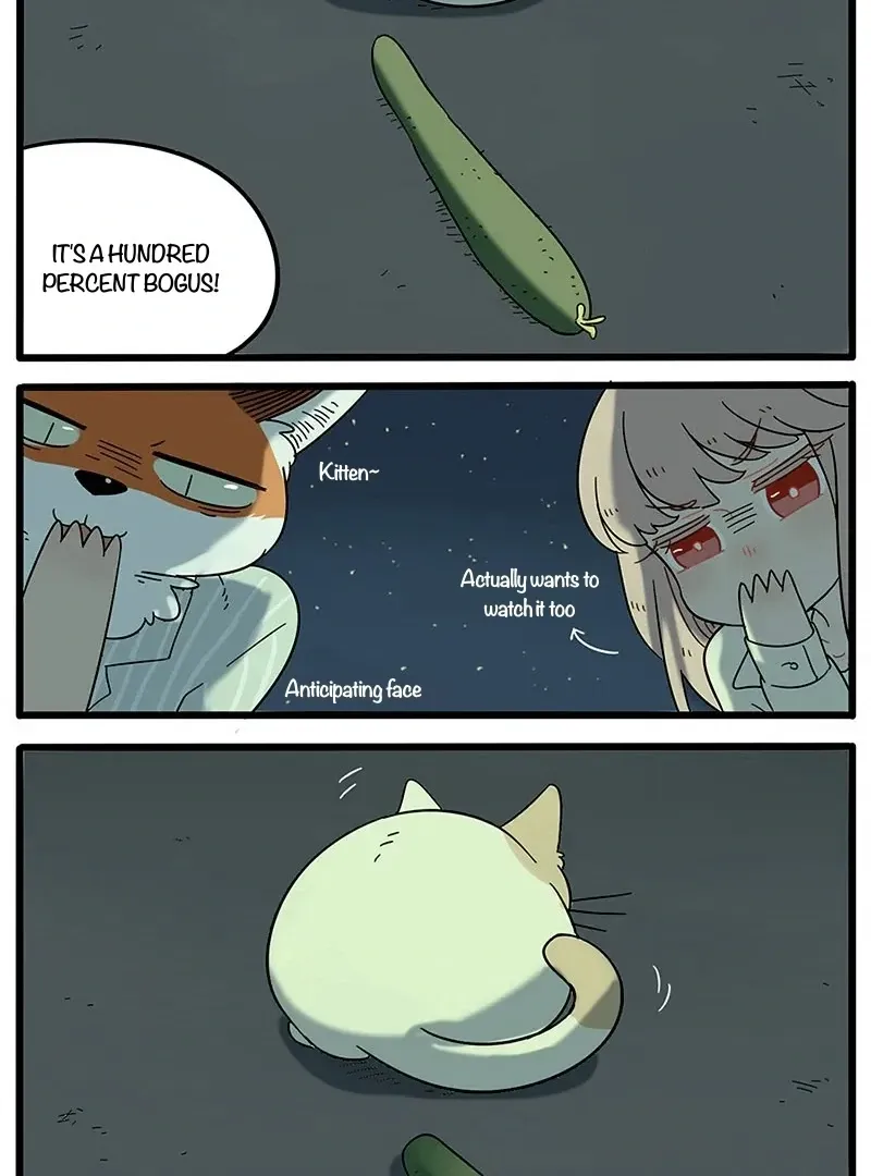 Read The Loser-fox orange chapter 21 image 29 on Lezhin