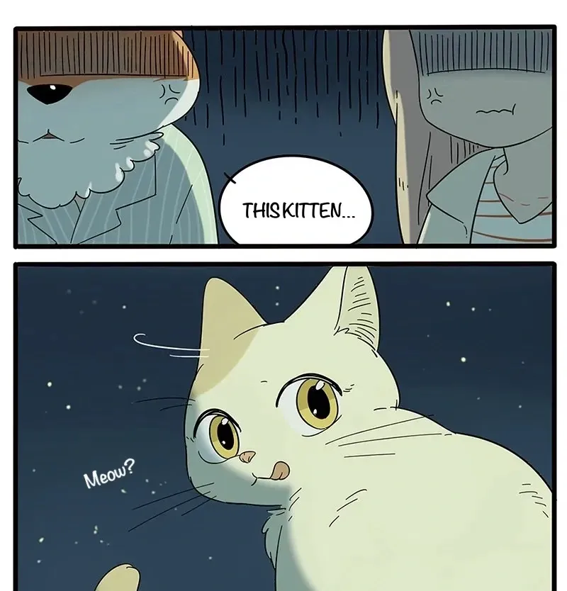 Read The Loser-fox orange chapter 21 image 33 on Lezhin