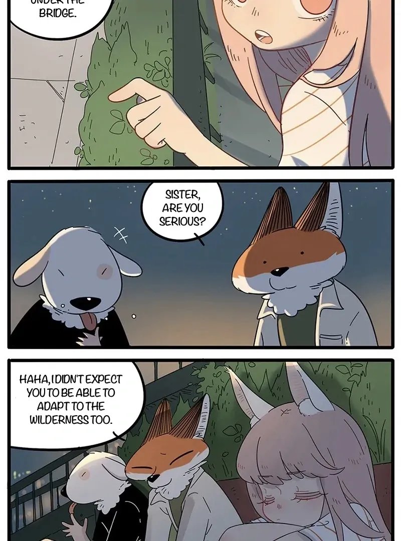Read The Loser-fox orange chapter 21 image 4 on Lezhin