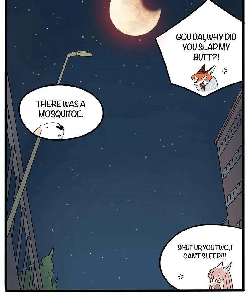 Read The Loser-fox orange chapter 21 image 41 on Lezhin
