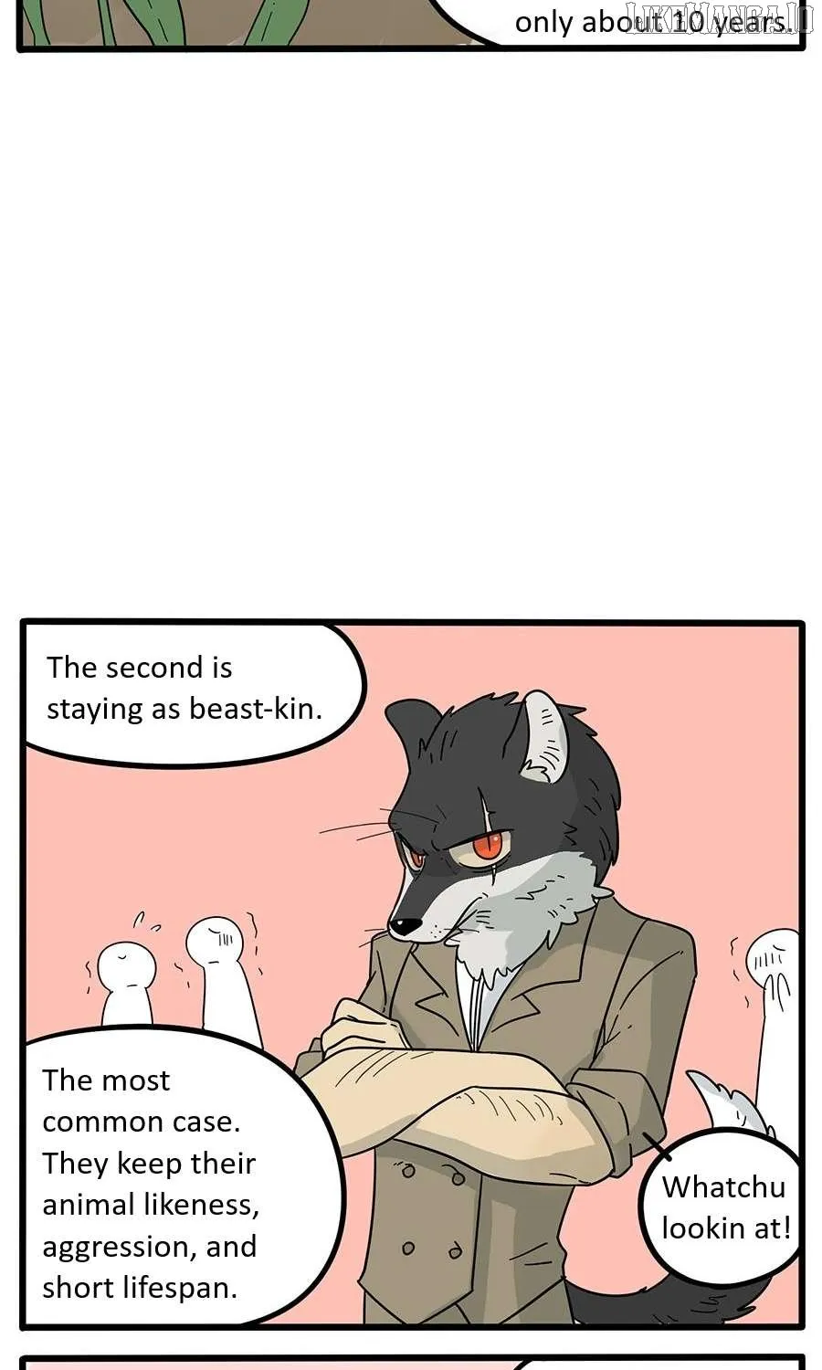Read The Loser-fox orange chapter 22 image 7 on Lezhin