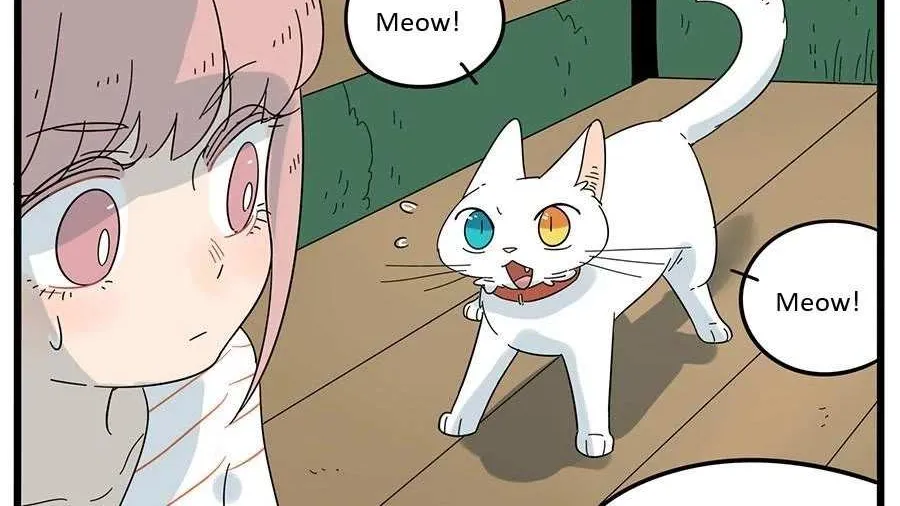 Read The Loser-fox orange chapter 26 image 18 on Lezhin