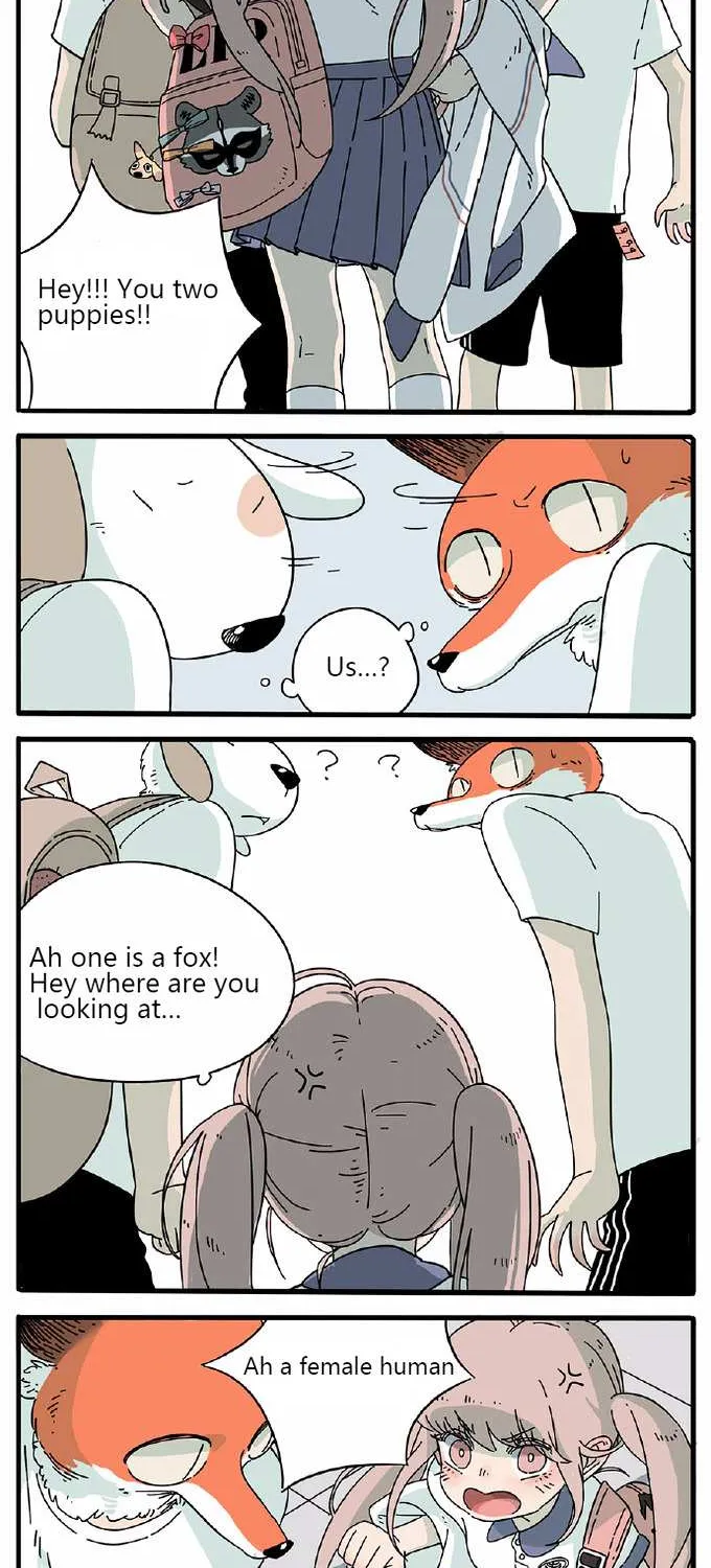 Read The Loser-fox orange chapter 3 image 1 on Lezhin