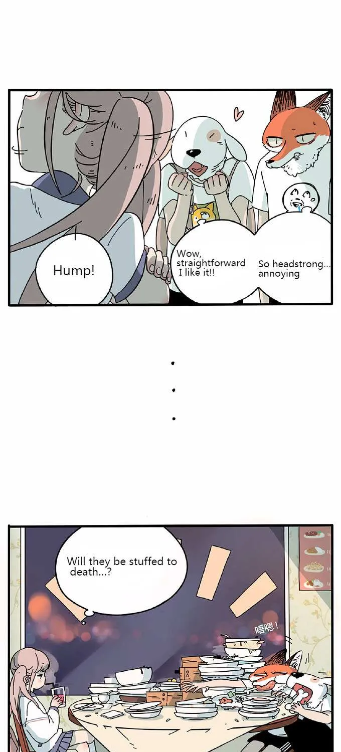 Read The Loser-fox orange chapter 3 image 3 on Lezhin