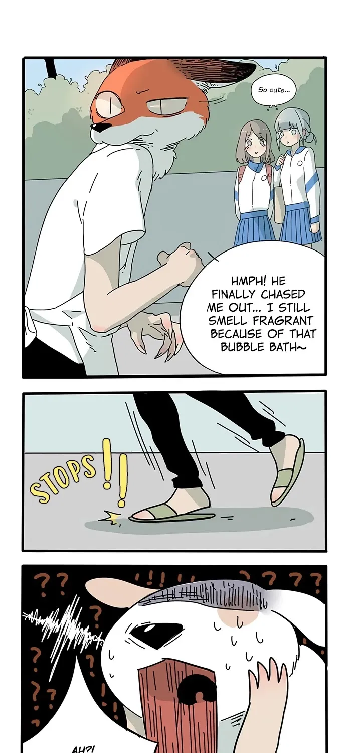 Read The Loser-fox orange chapter 4 image 14 on Lezhin