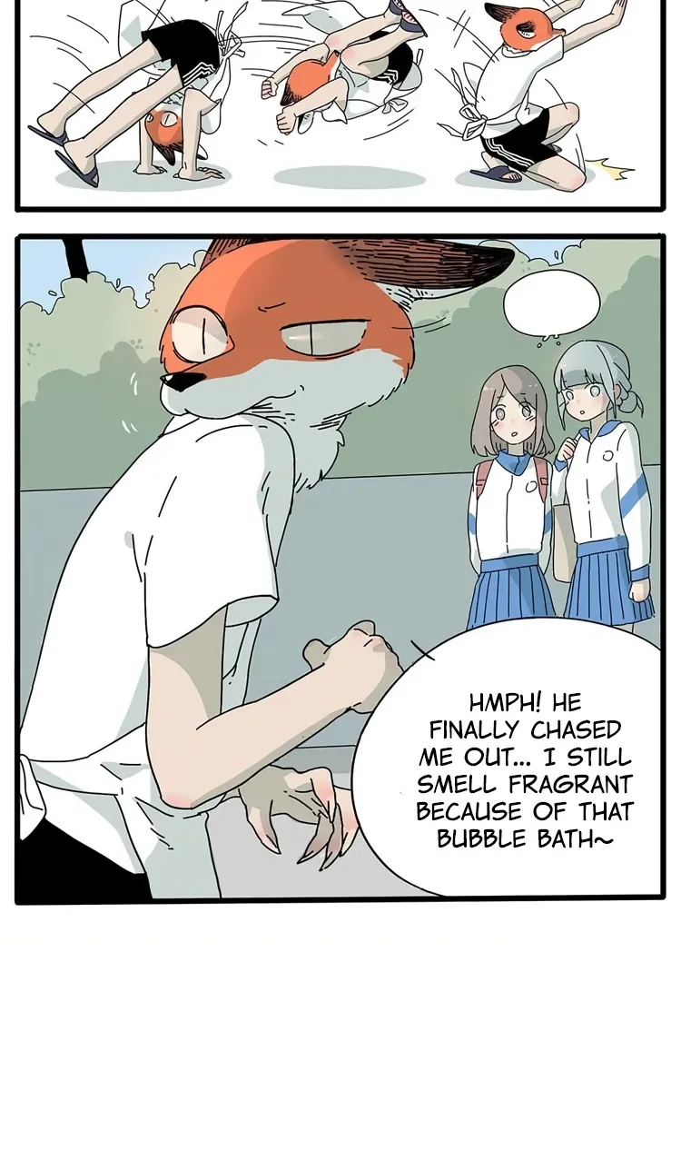 Read The Loser-fox orange chapter 4 image 3 on Lezhin