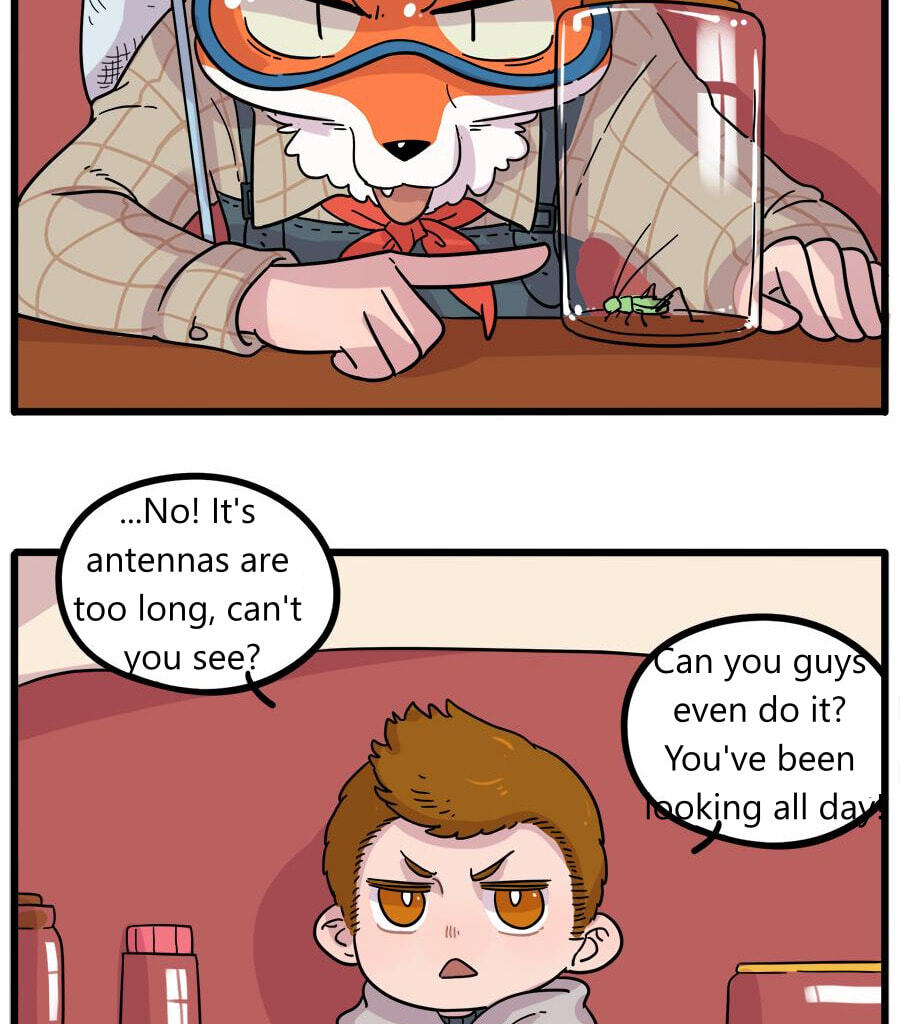 Read The Loser-fox orange chapter 42.1 image 4 on Lezhin