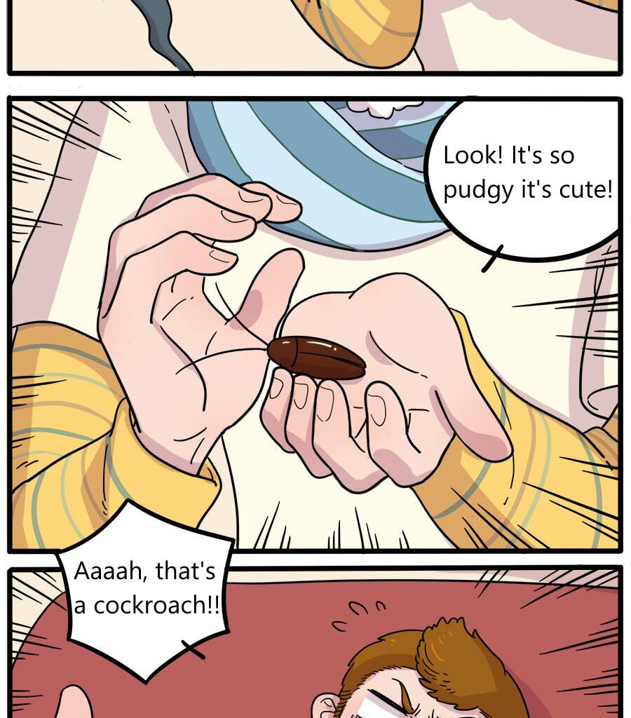 Read The Loser-fox orange chapter 42.1 image 6 on Lezhin