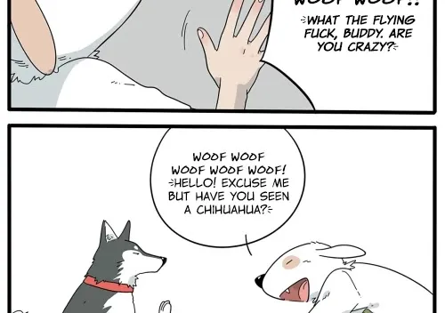 Read The Loser-fox orange chapter 6 image 1 on Lezhin