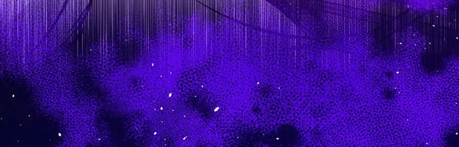 Read The Lovable Maid chapter 2 image 15 on Lezhin
