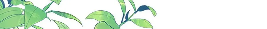 The Lovable Maid Chapter 29 page 206 - 