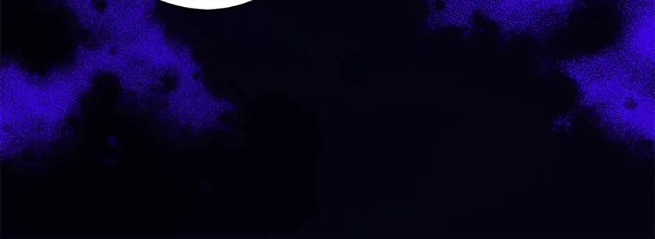 Read The Lovable Maid chapter 4 image 211 on Lezhin