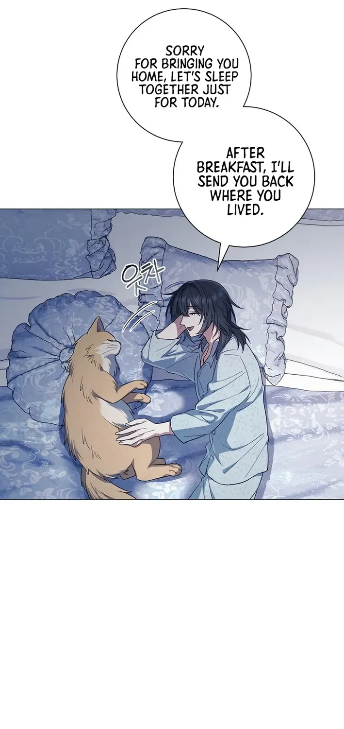 Read The Magic Lord chapter 13 image 16 on Lezhin