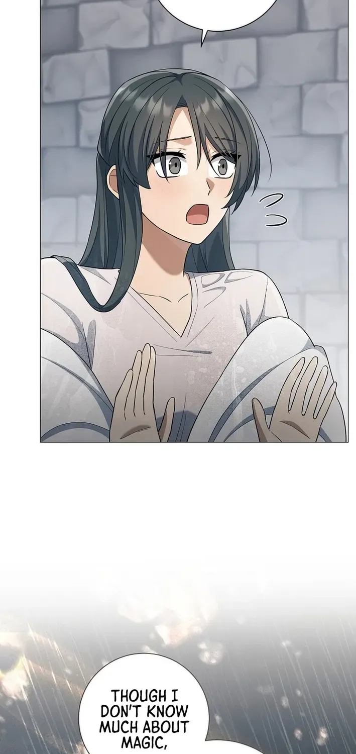 Read The Magic Lord chapter 25 image 26 on Lezhin