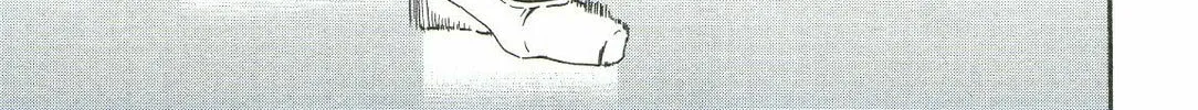 The Magnificent Grand Scene Chapter 71 page 14 - 