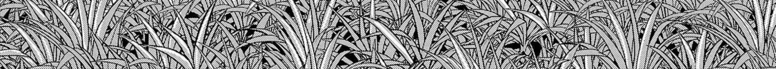 The Magnificent Grand Scene Chapter 98 page 2 - 