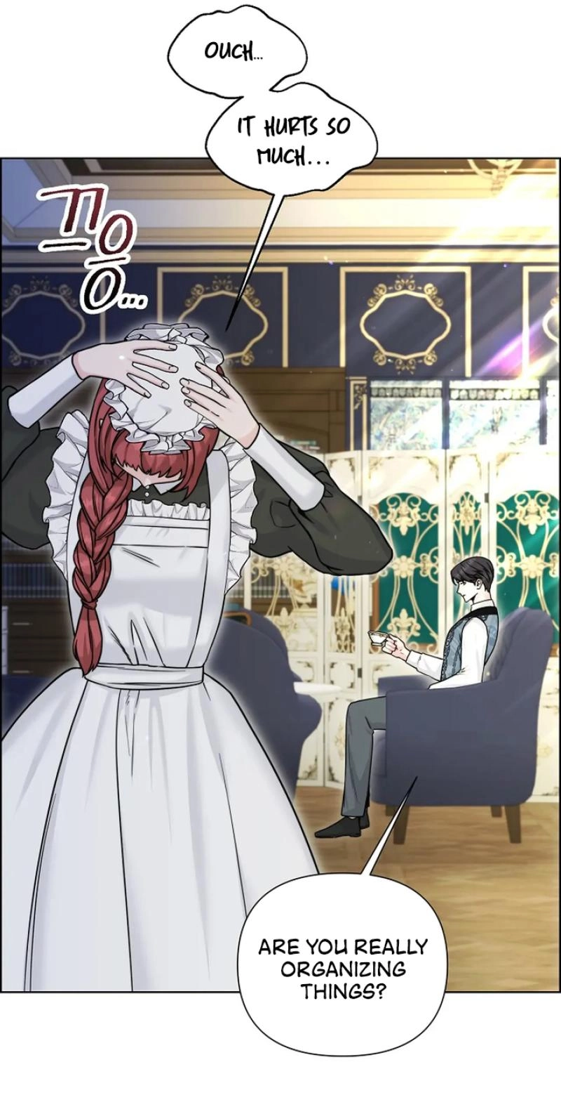 Read The Maid