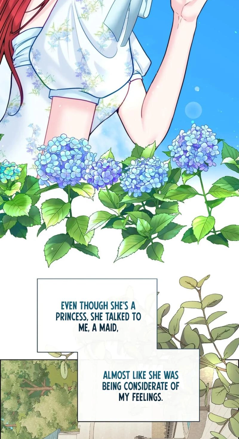 Read The Maid